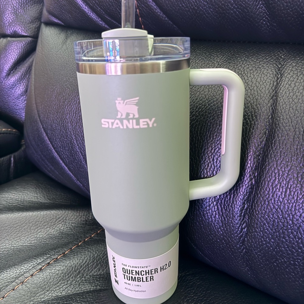 Stanley Quencher H2.0 Tumbler in Sage